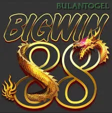 bigwin88 - 11